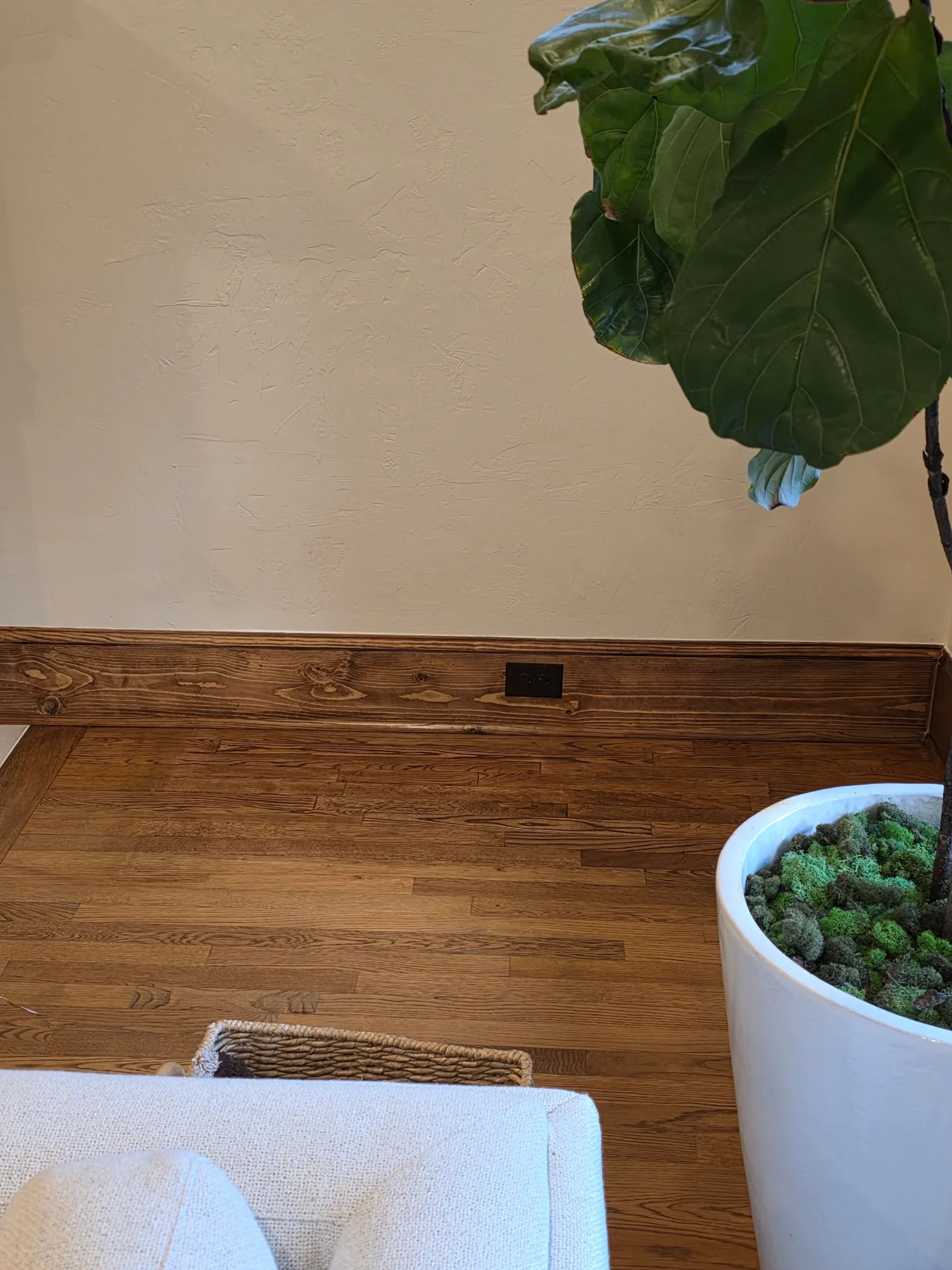 Textured beige wall above dark wooden baseboards and hardwood floor. A dark outlet is visible in the baseboard.