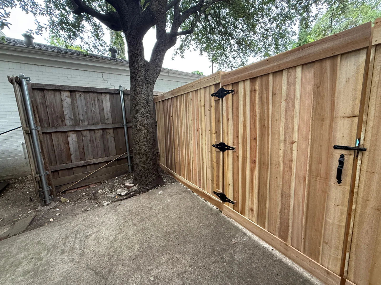 A section of a new wooden fence and gate with black hardware next to a large tree and an older, worn wooden fence.