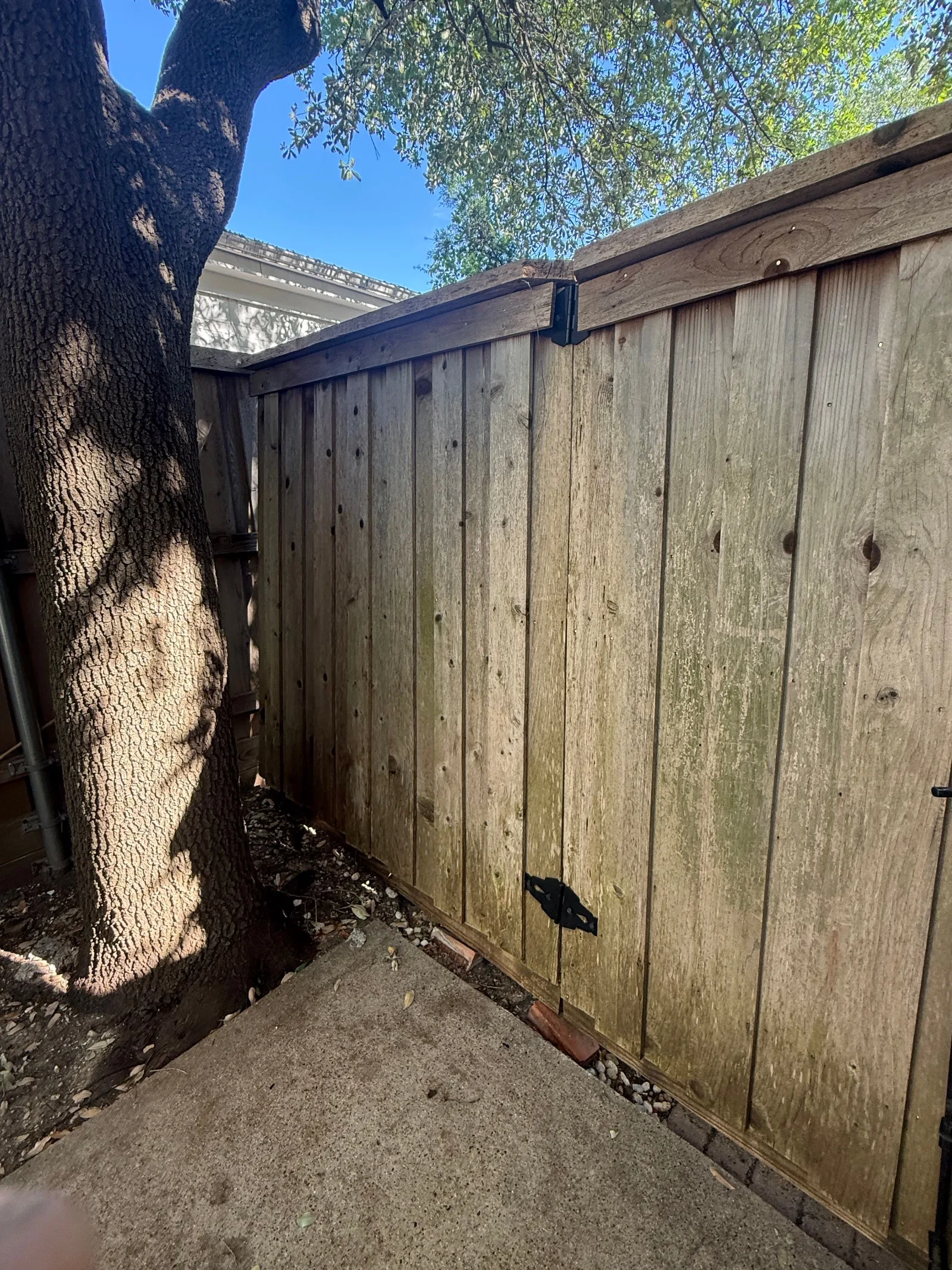 An old, weathered vertical slat wooden fence next to a large tree trunk, with concrete and gravel ground.
