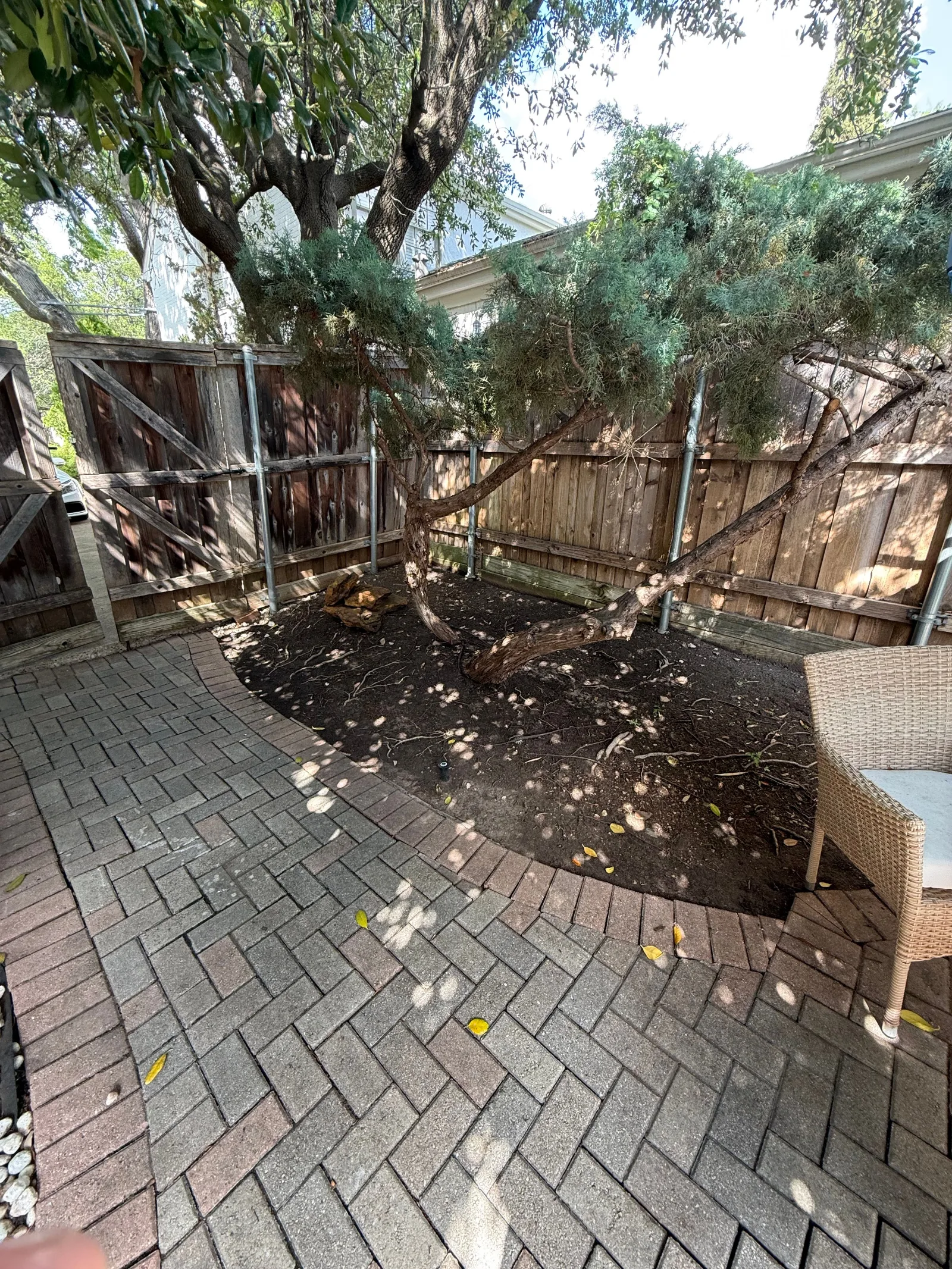 Backyard patio with herringbone pattern pavers, a wooden fence, and large trees providing shade over a dirt patch.