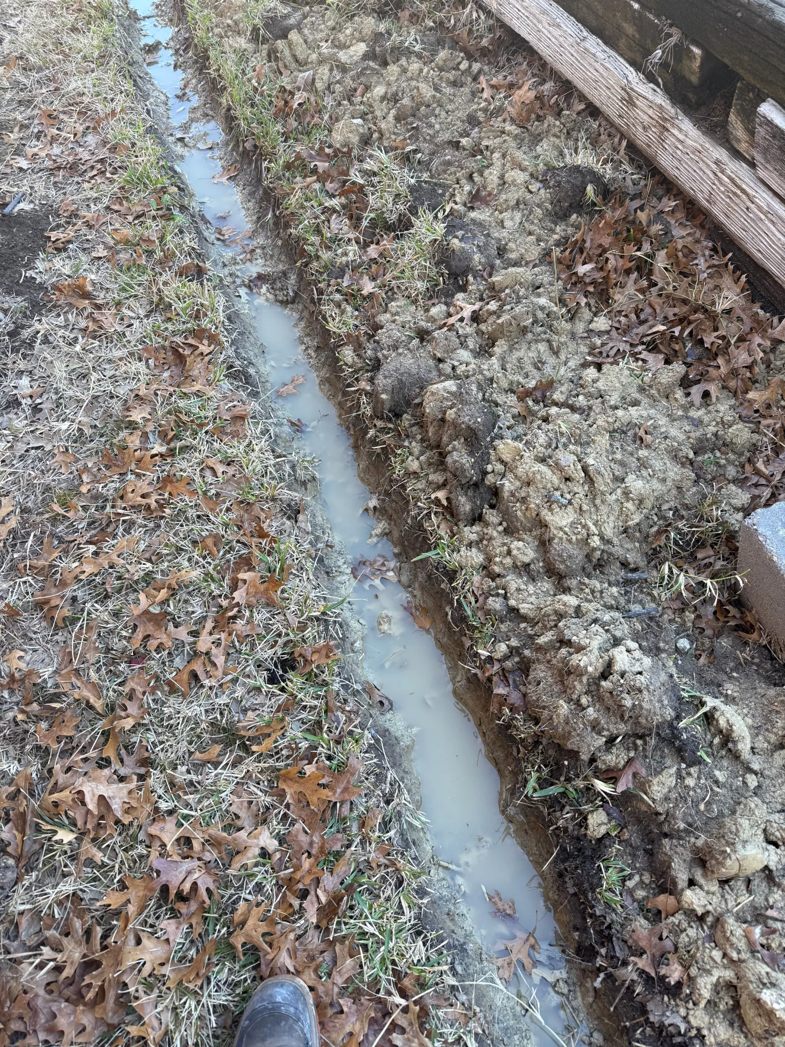 A muddy trench with standing water in a grassy, leaf-strewn yard. Disturbance of the soil from excavation is visible.