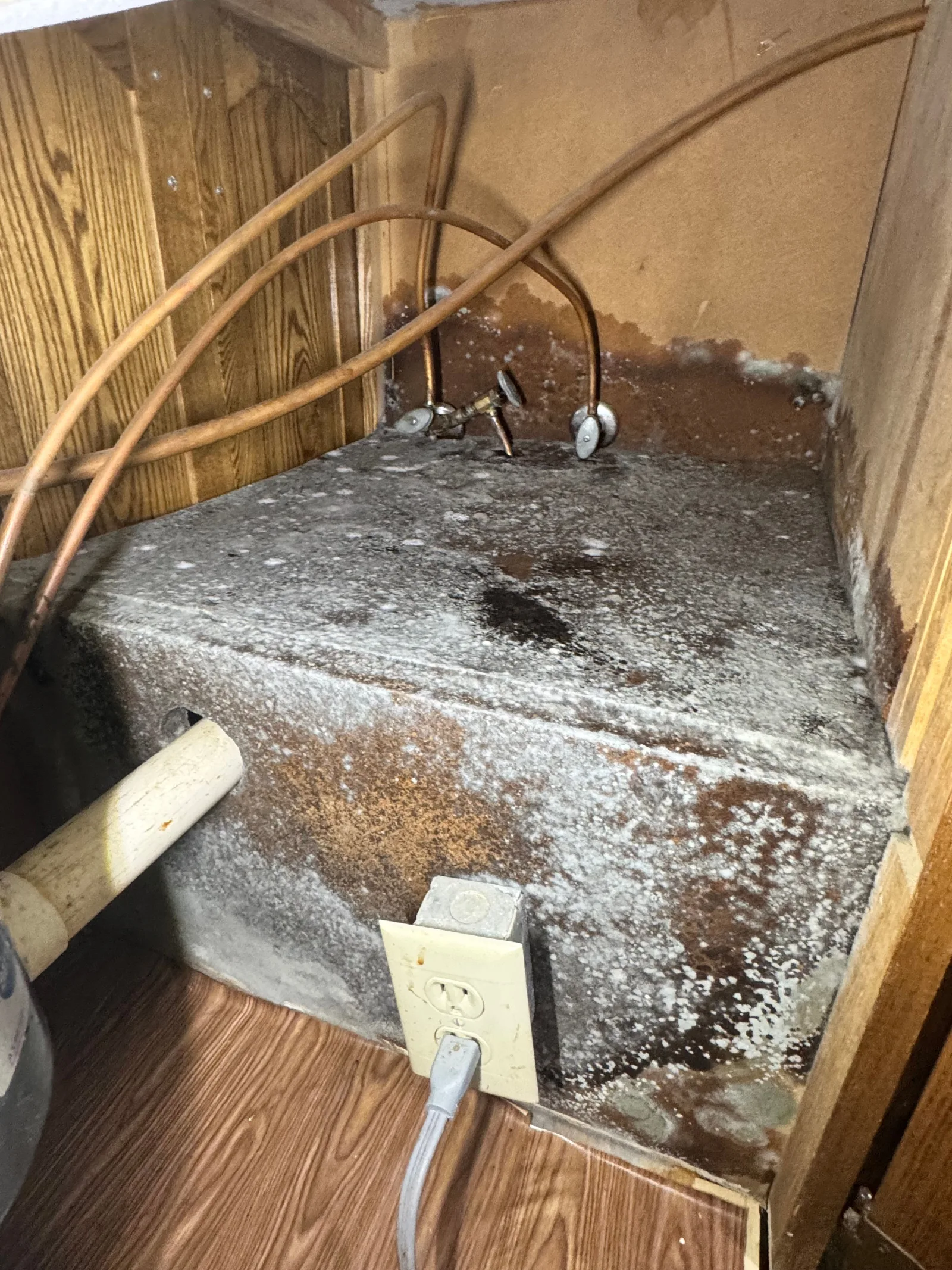 Under-sink cabinet interior with white mold covering the dark brown wood, copper plumbing, a white PVC pipe, and an electrica