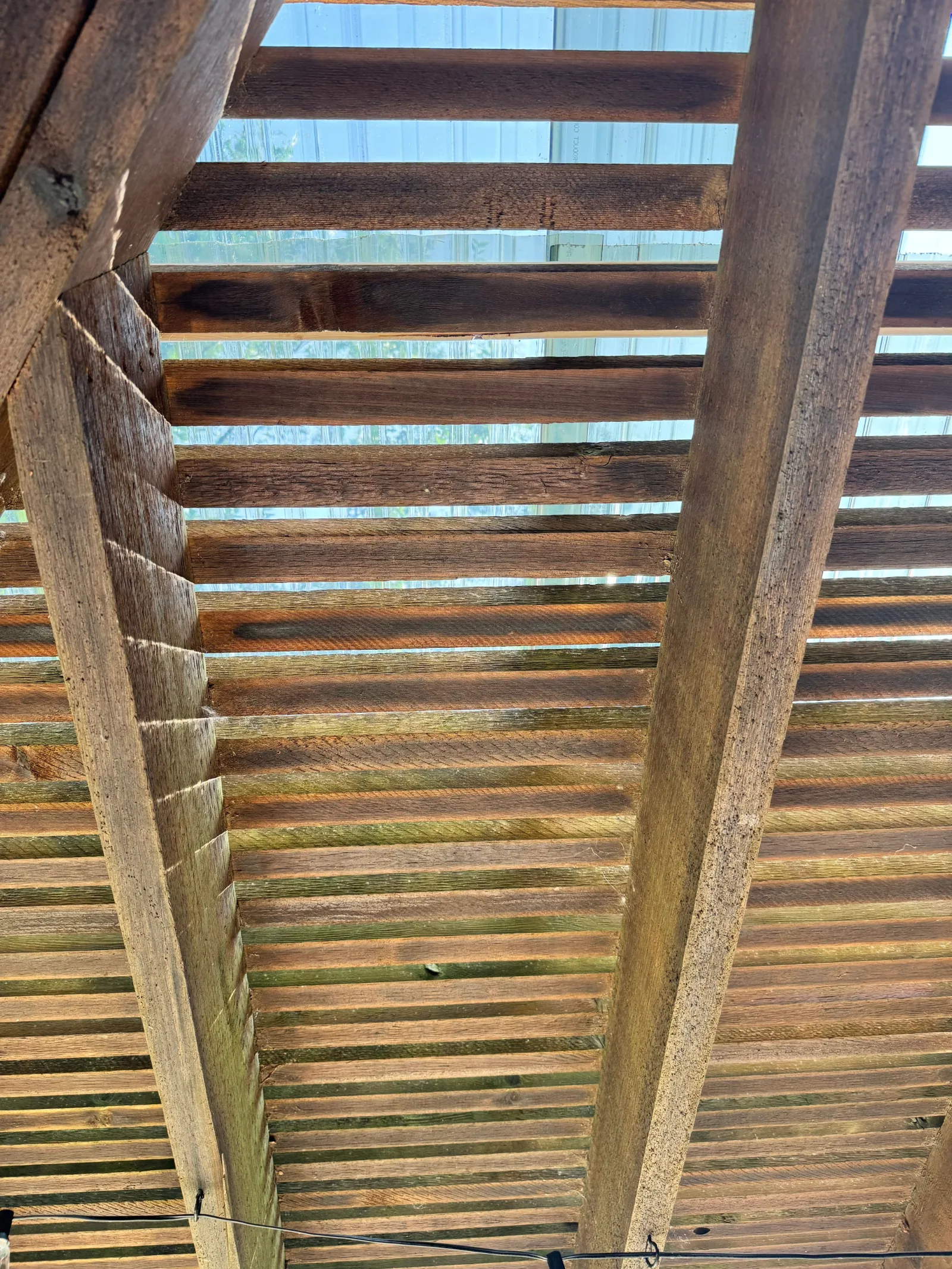 Underside view of a pergola's wooden crossbeams and clear polycarbonate roof panels, with sunlight filtering through.
